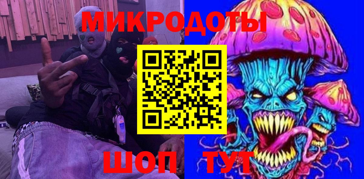 Галлюциногенные грибы Psilocybe Саянск