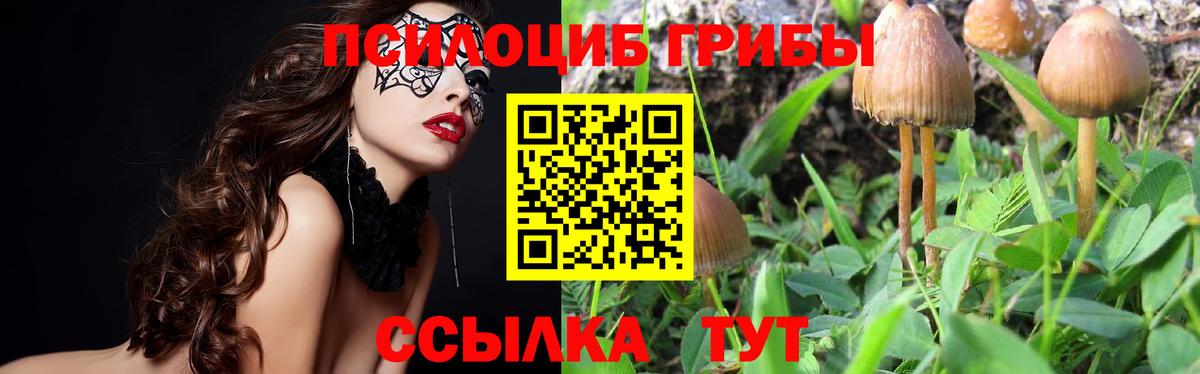 Псилоцибиновые грибы GOLDEN TEACHER  Вход с VPN  Саянск 